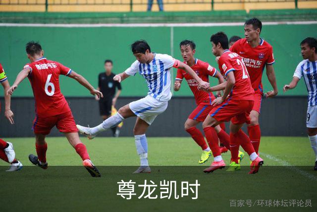 尊龙凯时公司简介图